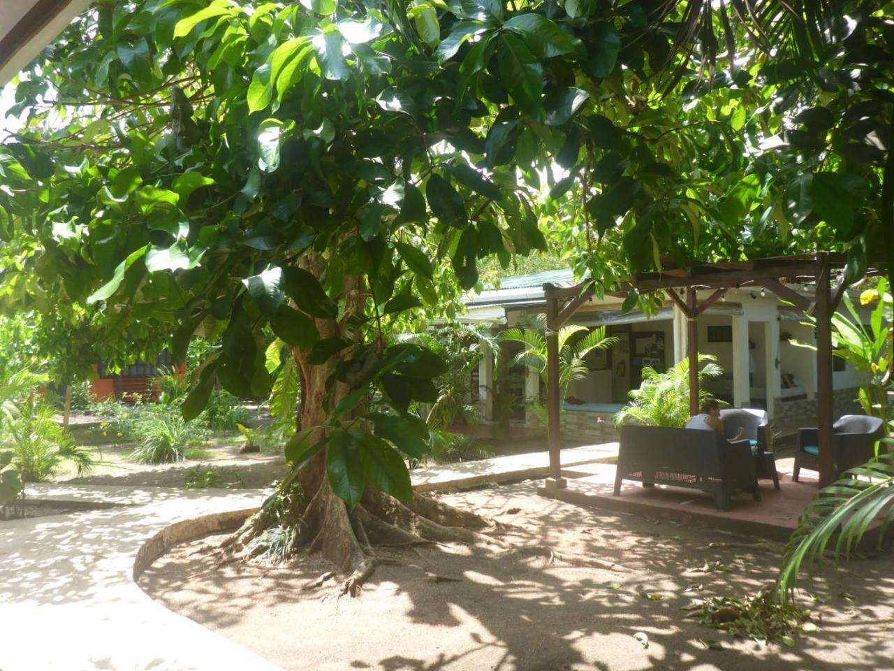 Aracari Garden Hostel Tortuguero Exterior foto